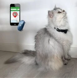 Reptrek® Minitrek GPS Tracker Voor Hond En Kat - Blauw - 4.9 X 3.3 X 1.5 Cm -Dieren Product Winkel 1197x1200 32