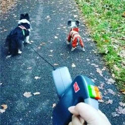 Wigzi Dual Doggie 2.0 Voor Twee Honden - Hondenriem - Grijs - 3m - <22 Kg (per Hond) -Dieren Product Winkel 1198x1200 18