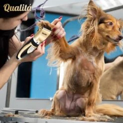 Merkloos Professionele Honden Tondeuse Set - Tondeuse Voor Huisdier Honden En Katten - Hondentrimmer - Hondentondeuse -Dieren Product Winkel 1198x1200 21