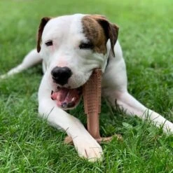 Spot Bam-Bones Plus Easy Grip - Veilig Kauwbot Voor Honden - Speciaal Voor Sterke Kauwers - Verzorgt Het Gebit Van De Hond - Rund Of Kip - S/M/L - Maat: Large, Smaak: Kip -Dieren Product Winkel 1198x1200 49