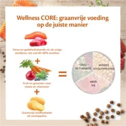 Wellness Core Grain Free Cat Sterilised - Zalm - Kattenvoer - 1.75 Kg -Dieren Product Winkel 1199x1200