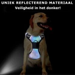 Mister Mill Hondentuigje 2x Klikgesp Maat XL Grijs - Anti-Trek Tuig Hondenharnas - Y Tuig Hond Reflecterend -Dieren Product Winkel 1199x1200 25