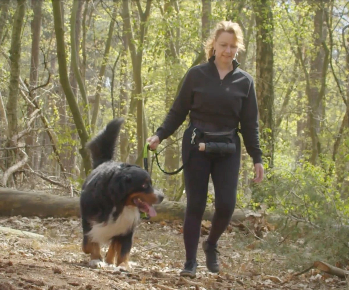 Canicross Looplijn Hond Met Heupriem Voor Hardlopen - Elastische Handsfree Hondenriem - Honden Trainingslijn - 150/210cm - Zwart 2 Canicross Looplijn Hond Met Heupriem Voor Hardlopen - Elastische Handsfree Hondenriem - Honden Trainingslijn - 150/210cm - Zwart - Afbeelding 2