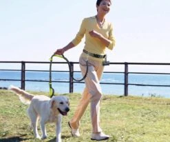 Canicross Looplijn Hond Met Heupriem Voor Hardlopen - Elastische Handsfree Hondenriem - Honden Trainingslijn - 150/210cm - Zwart 13 Canicross Looplijn Hond Met Heupriem Voor Hardlopen - Elastische Handsfree Hondenriem - Honden Trainingslijn - 150/210cm - Zwart -Dieren Product Winkel 1200x1000 7