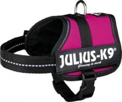 Julius K9 Original Powertuig/Harnas - Fuchsia - M - Maat 0/58-76cm -Dieren Product Winkel 1200x1002 4