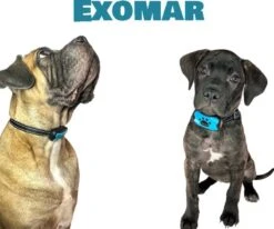Exomar® Anti Blafband Voor Honden Blafband Anti Blaf Apparaat Blafband Zonder Schok - Diervriendelijk -Dieren Product Winkel 1200x1003 1
