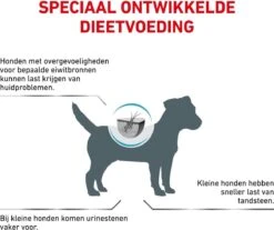 Royal Canin Hypoallergenic Kleine Hond - 3.5 Kg 15 Royal Canin Hypoallergenic Kleine Hond - 3.5 Kg -Dieren Product Winkel 1200x1007 9