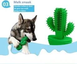 Tandenborstel + TANDPASTA Hond Melk Geur Smaak En Piep Honden Speelgoed - Cactus Dog Toy Tandverzorging Kauwbotten Hondenspeelgoed Hondenbot Kauwstaaf Tanden Puppy Hondenspeeltje Sterk Kauwspeelgoed - Dutchwide -Dieren Product Winkel 1200x1008 9