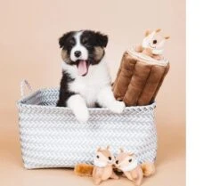 Zippy Paws - Petshop By Fringe Studio- Intelligentie Spel - Speelgoed Hond - Honden - Puzzel - Eekhoorn -Dieren Product Winkel 1200x1014 5