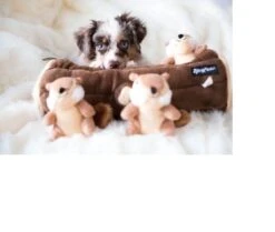 Zippy Paws - Petshop By Fringe Studio- Intelligentie Spel - Speelgoed Hond - Honden - Puzzel - Eekhoorn -Dieren Product Winkel 1200x1014 6