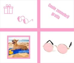 Pepets© – Hondenhanddoek – Honden Handdoek – Microvezel Handdoek – Handdoek Hond – Hondendeken – Droogdoek Hond – Dierendeken – Absorberend – 100*50CM - Beige - GRATIS Zonnebril -Dieren Product Winkel 1200x1018 1