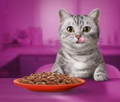 Whiskas 1+ Natvoer - Classic - Selectie In Saus - Maaltijdzakjes 40 X 85 G -Dieren Product Winkel 1200x1019 2