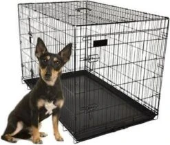 Hondenbench Basic Zwart M - Zwart - 77 X 47 X 55 Cm -Dieren Product Winkel 1200x1026 10