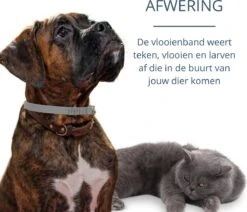 Merkloos Vlooienband Hond - 8 Maanden Bescherming - Vlooienband - Natuurlijk - Tekenband - Anti Vlooien - 63cm - Fit All Sizes - Vlooienbandjes Hond - Vlooien - Teken 13 Merkloos Vlooienband Hond - 8 Maanden Bescherming - Vlooienband - Natuurlijk - Tekenband - Anti Vlooien - 63cm - Fit All Sizes - Vlooienbandjes Hond - Vlooien - Teken -Dieren Product Winkel 1200x1032 10