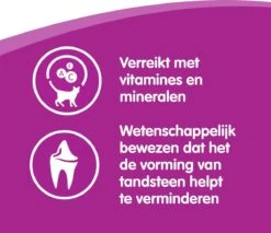 Whiskas Dentabites Kattensnoepjes - Kip - 8 X 40g -Dieren Product Winkel 1200x1033 2