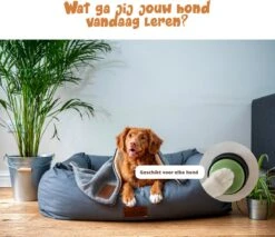 Praatknop Hond – Set Van 4 - Honden Speelgoed – Honden Training – Dogbuttons – Huisdier – Puppy Training - Hondenspeelgoed Intelligentie - Hond Opvoeden 16 Praatknop Hond – Set Van 4 - Honden Speelgoed – Honden Training – Dogbuttons – Huisdier – Puppy Training - Hondenspeelgoed Intelligentie - Hond Opvoeden -Dieren Product Winkel 1200x1036 8