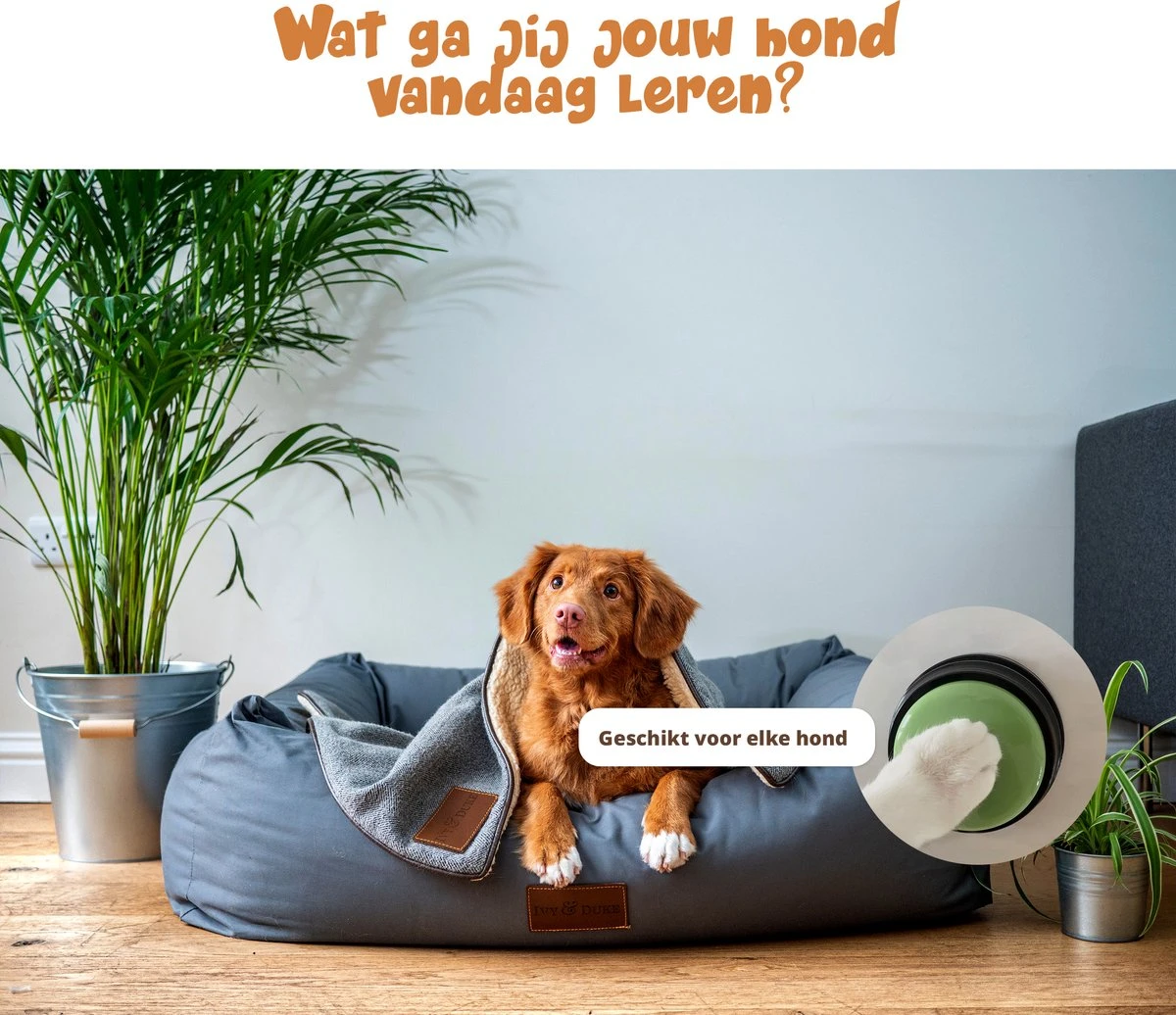 Praatknop Hond – Set Van 4 - Honden Speelgoed – Honden Training – Dogbuttons – Huisdier – Puppy Training - Hondenspeelgoed Intelligentie - Hond Opvoeden 6 Praatknop Hond – Set Van 4 - Honden Speelgoed – Honden Training – Dogbuttons – Huisdier – Puppy Training - Hondenspeelgoed Intelligentie - Hond Opvoeden - Afbeelding 6