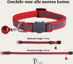 Petsify - Kattenhalsband Met Belletje - Veiligheidssluiting - Reflecterend - Halsband Kat - Halsband Kitten - Set Van 11 9 Petsify - Kattenhalsband Met Belletje - Veiligheidssluiting - Reflecterend - Halsband Kat - Halsband Kitten - Set Van 11 -Dieren Product Winkel 1200x1038 2