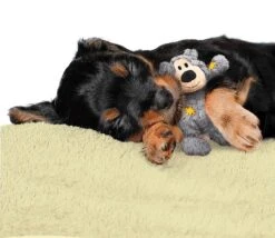 Kong Wild Knots Beer - Hondenspeelgoed - Assorti - M - 25 X 20 X 10 Cm -Dieren Product Winkel 1200x1042 9