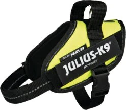 Julius K9 Julius-K9 IDC®Powertuig, XS - Mini-Mini, Neon -Dieren Product Winkel 1200x1043 4