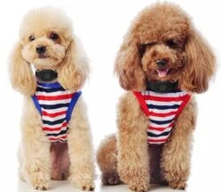 Reptrek® Minitrek GPS Tracker Voor Hond En Kat - Blauw - 4.9 X 3.3 X 1.5 Cm -Dieren Product Winkel 1200x1045 11