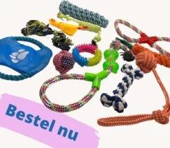 (Goedkoopste) Honden Speelgoed Set 15 Stuks Geschikt Voor Puppy's T/m Middelgrote Honden - Honden Kauw Speelgoed - 15 Stuks - Hondenspeeltjes - Intelligentie - Touw - Flostouw - Bijtring - Bal - Huisdieren Speelgoed -Dieren Product Winkel 1200x1046 9