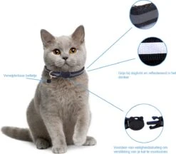 Kattenhalsband Veiligheidssluiting Kattenbandje Kitten Halsband Katten Halsband Reflecterend Verstelbaar 18-32Cm – Zwart -Dieren Product Winkel 1200x1047 4