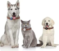 SunnyPets Halsband Airtag Houder - Hond En Kat Huisdieren Siliconen Halsband Bescherm Hoesje - Geschikt Voor Apple Airtag - Hondenhalsband - Geschikt Voor Koffer - Tracking - Zwart -Dieren Product Winkel 1200x1049 6