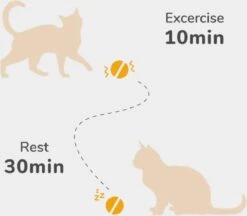 Cheerble Mini Ball 2.0 - Slimme Interactieve Zelf Rollende Bal Voor Katten - 3 Speelmodi - Kattenspeeltjes - USB Oplaadbaar - Rood -Dieren Product Winkel 1200x1051 1