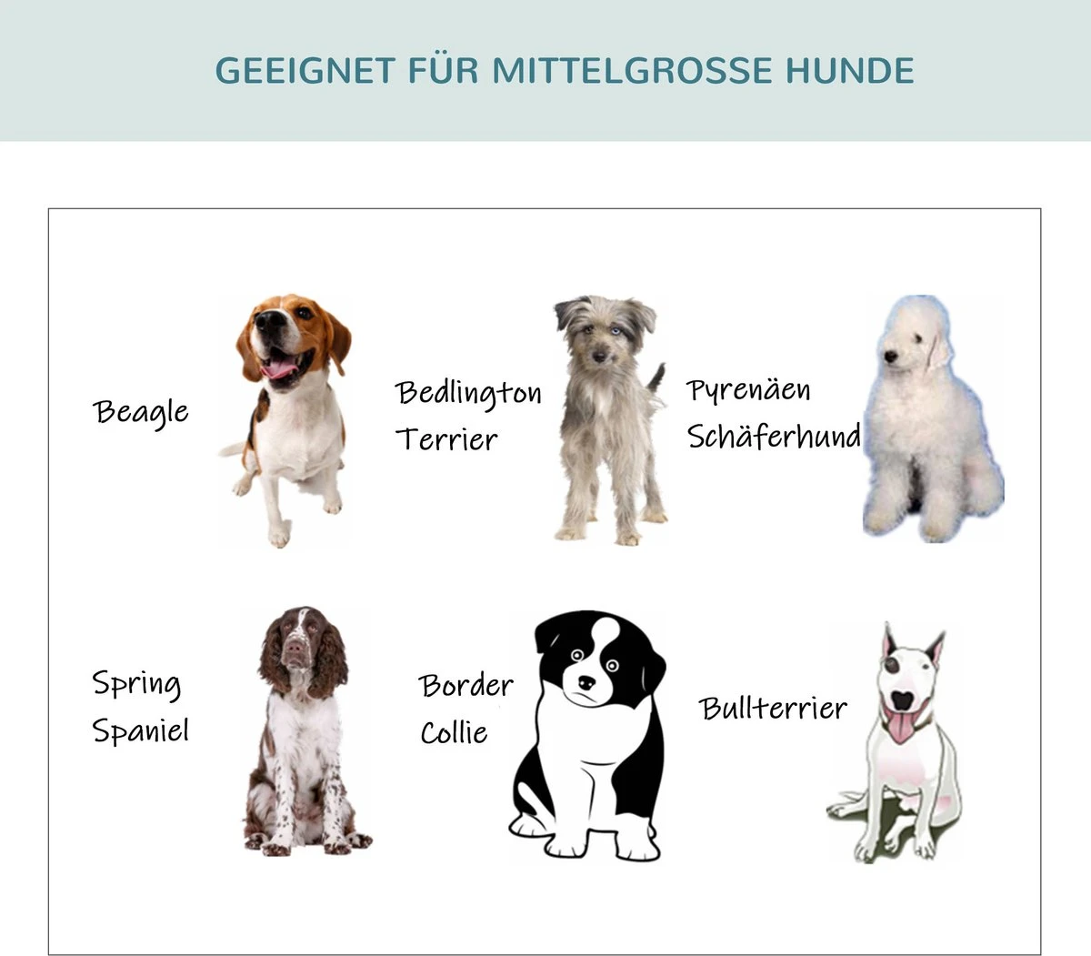 PawHut Hondenbox Inklapbare Hondentransportbox Dier 2 Kleuren 5 Maten 1O-T46O-R3DG-2 7 PawHut Hondenbox Inklapbare Hondentransportbox Dier 2 Kleuren 5 Maten 1O-T46O-R3DG-2 - Afbeelding 7