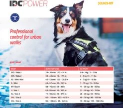 Julius K9 Julius-K9 IDC®Powertuig, L - Maat 1, Zwart 18 Julius K9 Julius-K9 IDC®Powertuig, L - Maat 1, Zwart -Dieren Product Winkel 1200x1053 20