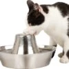 PetSafe® Seaside Stainless Steel Pet Fountain - RVS Drinkfontein Voor Katten En Kleine Honden - Water Borrelt Zacht Over De Toren - Door Het Design Van Alle Kanten Bereikbaar - 1,8 Liter - PetSafe Seaside