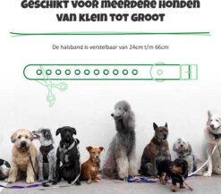 Anti Blafband Met Afstandsbediening - Blafband Voor Honden - Anti Blaf Apparaat Zonder Schok - Twee In Een Trainingshalsband -Dieren Product Winkel 1200x1055 4