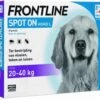 Frontline Hond Spot-On Large - 4 Pipetten