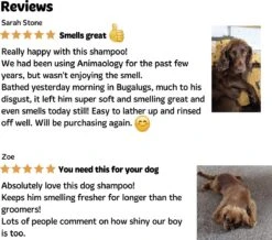 Bugalugs - Hondenshampoo - One In A Million - Alle Vachttypes - Fles Met Pompje - Vegan - 500 Ml -Dieren Product Winkel 1200x1061 6