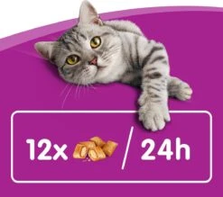 Whiskas Temptations Kattensnacks - Kip En Kaas - 8 X 60 Gr 10 Whiskas Temptations Kattensnacks - Kip En Kaas - 8 X 60 Gr -Dieren Product Winkel 1200x1064 1