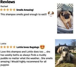 Bugalugs - Hondenshampoo - One In A Million - Alle Vachttypes - Fles Met Pompje - Vegan - 500 Ml -Dieren Product Winkel 1200x1066 10