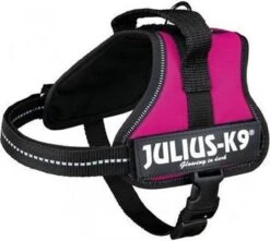 Julius K9 Original Powertuig/Harnas - Fuchsia - M - Maat 0/58-76cm -Dieren Product Winkel 1200x1076 6