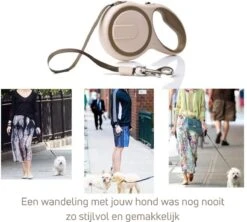 Hondenriem - Leiband Hond - Rollijn - 5 Meter - Beige - Riem Met Oprolsysteem - Hondenriem Flexi - Hondenlijn - Uitlaatriem -Dieren Product Winkel 1200x1077 5