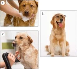 Waterblazer Hond - Hondendroger -Dieren Product Winkel 1200x1083 3