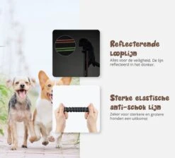 Hardloopriem Hond – Honden Riem Handsfree – Hardlopen Met Hond – 160-260 Cm Blauw - Hardloopband Hond – Halsband Hond – Hondenlijn – Leiband Hond 17 Hardloopriem Hond – Honden Riem Handsfree – Hardlopen Met Hond – 160-260 Cm Blauw - Hardloopband Hond – Halsband Hond – Hondenlijn – Leiband Hond -Dieren Product Winkel 1200x1087 12