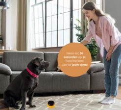 Praatknop Hond – Set Van 4 - Honden Speelgoed – Honden Training – Dogbuttons – Huisdier – Puppy Training - Hondenspeelgoed Intelligentie - Hond Opvoeden 14 Praatknop Hond – Set Van 4 - Honden Speelgoed – Honden Training – Dogbuttons – Huisdier – Puppy Training - Hondenspeelgoed Intelligentie - Hond Opvoeden -Dieren Product Winkel 1200x1087 21