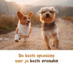 Dubbele Honden Riem – Leiband Hond – Hondenlijn – Looplijn Hond – 2 Honden – 3 Meter – Tot 12kg Per Hond – Reflecterende Lijnen – Met Zaklamp – 360° Draaien – Verstelbaar - Navy Blauw -Dieren Product Winkel 1200x1087 8