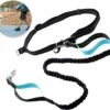 Hardloopriem Hond – Honden Riem Handsfree – Hardlopen Met Hond – 160-260 Cm Blauw - Hardloopband Hond – Halsband Hond – Hondenlijn – Leiband Hond
