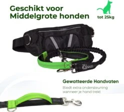 Canicross Looplijn Hond Met Heupriem Voor Hardlopen - Elastische Handsfree Hondenriem - Honden Trainingslijn - 150/200cm - Groen -Dieren Product Winkel 1200x1089 4