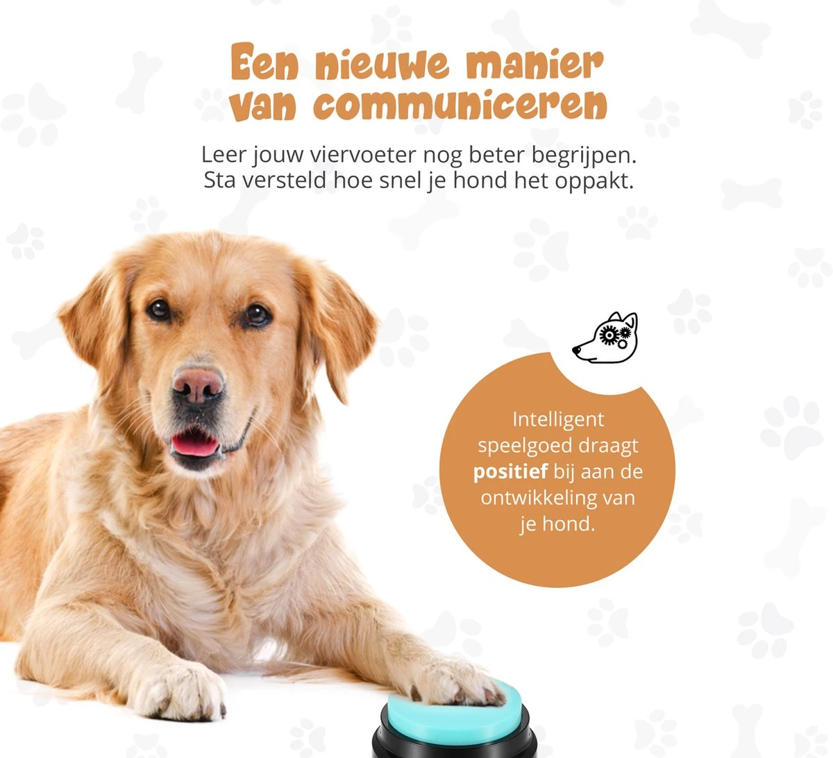 Praatknop Hond – Set Van 4 - Honden Speelgoed – Honden Training – Dogbuttons – Huisdier – Puppy Training - Hondenspeelgoed Intelligentie - Hond Opvoeden 2 Praatknop Hond – Set Van 4 - Honden Speelgoed – Honden Training – Dogbuttons – Huisdier – Puppy Training - Hondenspeelgoed Intelligentie - Hond Opvoeden - Afbeelding 2