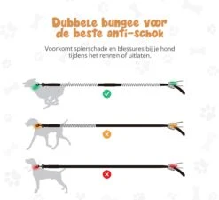 Hardloopriem Hond – Honden Riem Handsfree – Hardlopen Met Hond – 160-260 Cm Groen- Hardloopband Hond – Halsband Hond – Hondenlijn – Leiband Hond -Dieren Product Winkel 1200x1093 4