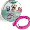 Vlooienband Voor Honden - Roze - 100% Natuurlijk - Geur Halsband - Hond - Voor Alle Rassen - Geen Chemicaliën - Teken En Vlooien - Waterproof - Veilig Voor Uw Gezin - Geen Bijwerkingen
