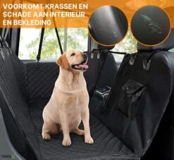 Merkloos Premium Quality Hondendeken Auto Achterbank En Kofferbak - Met Kijkvenster En Opbergvak - 100% Waterbestendig En Vuilafstotend - Veiligheid - Hoge Kwaliteit Duurzaam Materiaal - Met Gratis Verstelbare Riemen - Beschermhoes Auto - Hondendeken - Puppy 20 Merkloos Premium Quality Hondendeken Auto Achterbank En Kofferbak - Met Kijkvenster En Opbergvak - 100% Waterbestendig En Vuilafstotend - Veiligheid - Hoge Kwaliteit Duurzaam Materiaal - Met Gratis Verstelbare Riemen - Beschermhoes Auto - Hondendeken - Puppy -Dieren Product Winkel 1200x1100 6
