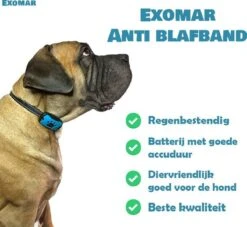 Exomar® Anti Blafband Voor Honden Blafband Anti Blaf Apparaat Blafband Zonder Schok - Diervriendelijk -Dieren Product Winkel 1200x1101 6